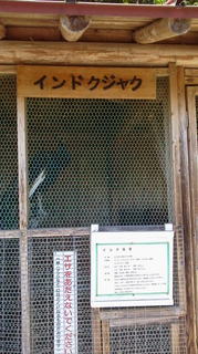 kenkou7.JPG
